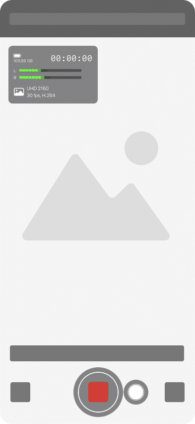 video snapshot.gif