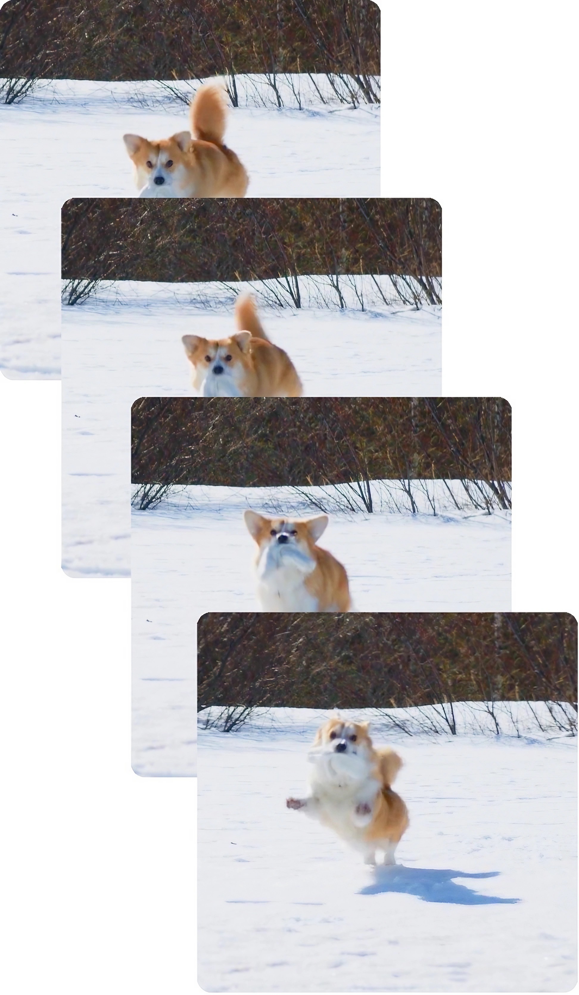 New_Project-155_clipdrop-enhance.jpg